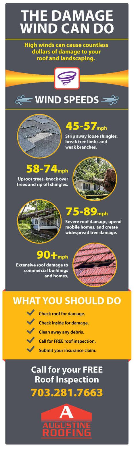 Wind Damage Infographic